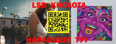 крисы Партизанск